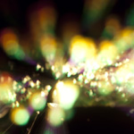 Photography - abstraction