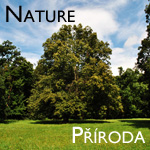 Nature // Příroda