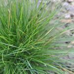 Photography - Nature