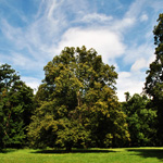 Photography - Nature