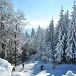 Photography - Nature