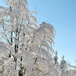 Photography - Nature