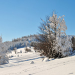 Photography - Nature