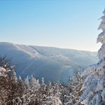 Photography - Nature