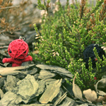 Photography - things